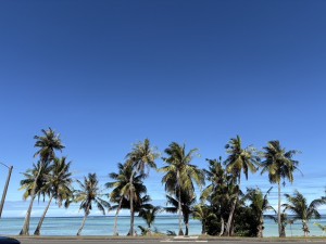 16445786-2E26-4FC6-9D7F-E7B4AD96F33D_1_105_c