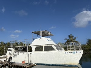 25A025EC-564D-4728-BBA2-3634BD0BD959_1_105_c