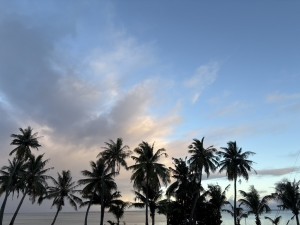 39F015DC-C617-41D7-9D62-C6628A03C421_1_105_c