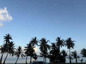 4F2FE0EC-1CEC-44E5-A00D-5EE03D505192_1_105_c