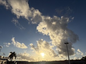 5CF8513D-DE31-4DFA-92CB-2C383E7DFD95_1_105_c